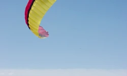 Sarah & Eric McNair-Landry portrait